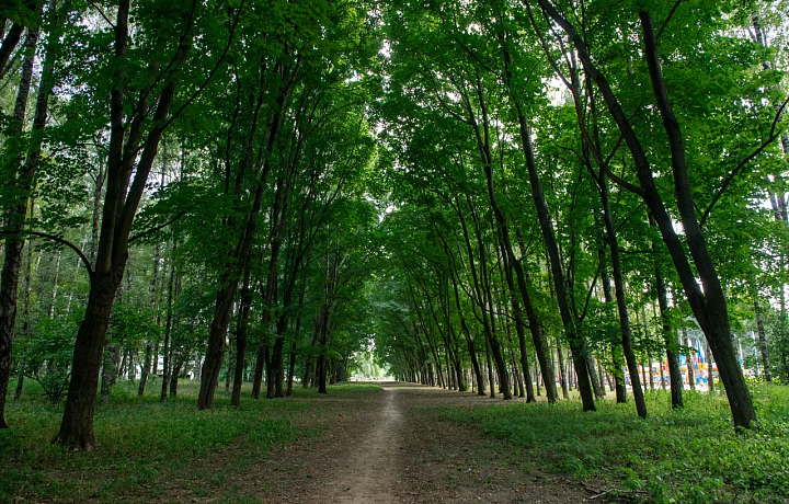 2 августа Тулу ожидает облачная погода и +25 градусов тепла