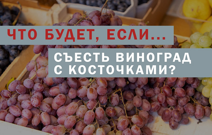 Известный врач-терапевт Водовозов рассказал, что будет, если съесть виноград с косточками