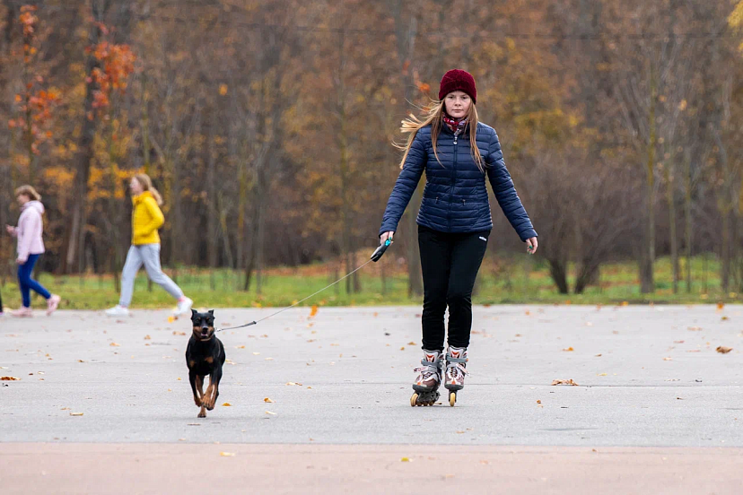 В России утвержден ГОСТ на площадки для выгула собак | ТСН24