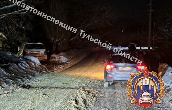 В Богородицке иномарка сбила пожилого пешехода на улице Вязовской