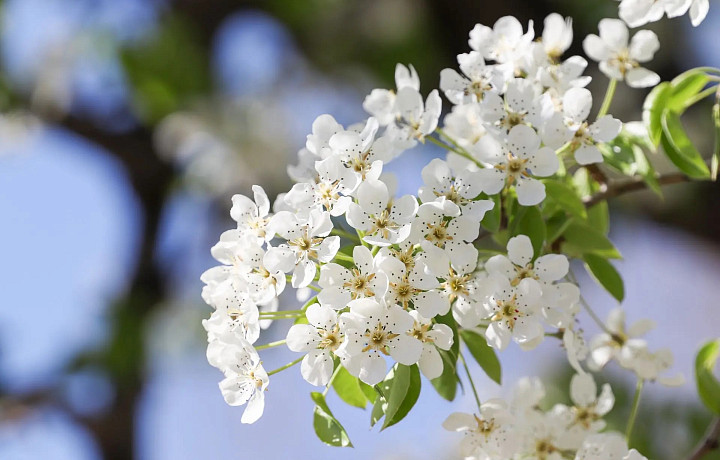 В Тульской области в выходные потеплеет до +18 градусов