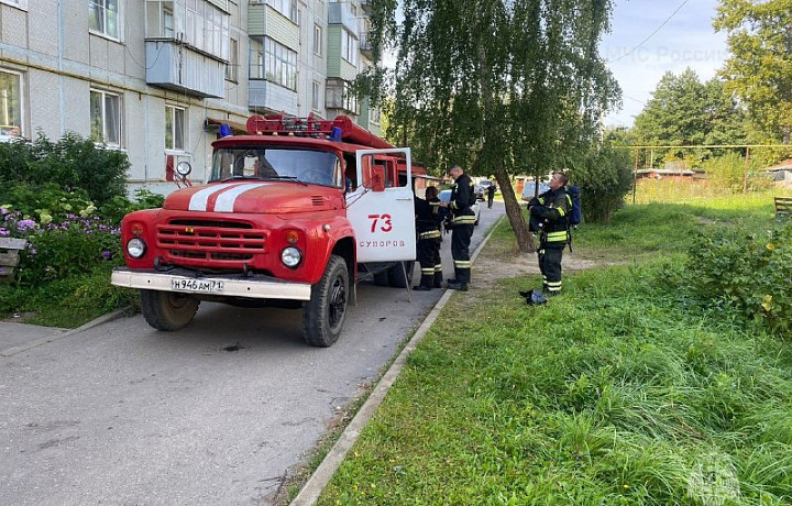 Из пожара в многоквартирном доме в Суворовском районе Тульской области эвакуировали 12 человек