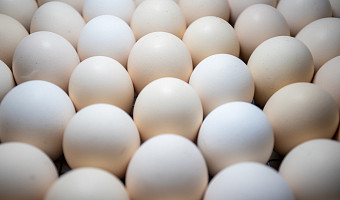 Диетолог призвала туляков отказаться от яиц при обострении панкреатита