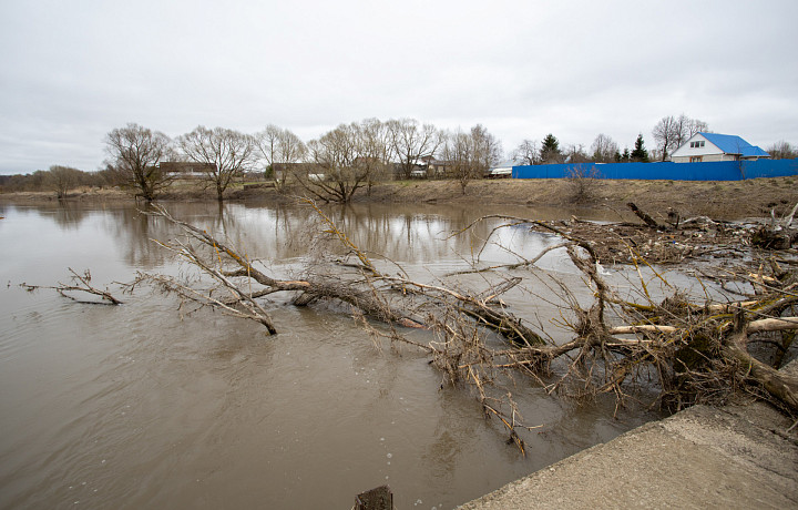 С начала года в Тульской области нашли 353 нарушения в сфере экологии
