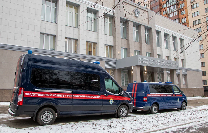 Жительница Новомосковска подговорила 12-летнего подростка украсть товары из ПВЗ маркетплейса: на нее возбудили дело