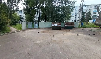 Почему мусорки в Новомосковске переполнены: объяснили в администрации