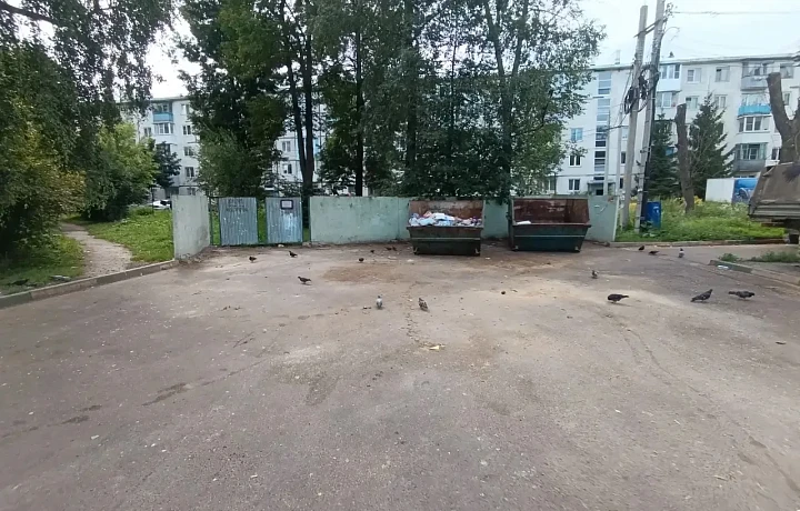 Почему мусорки в Новомосковске переполнены: объяснили в администрации