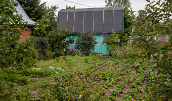 Дачникам хотят запретить бизнес в СНТ