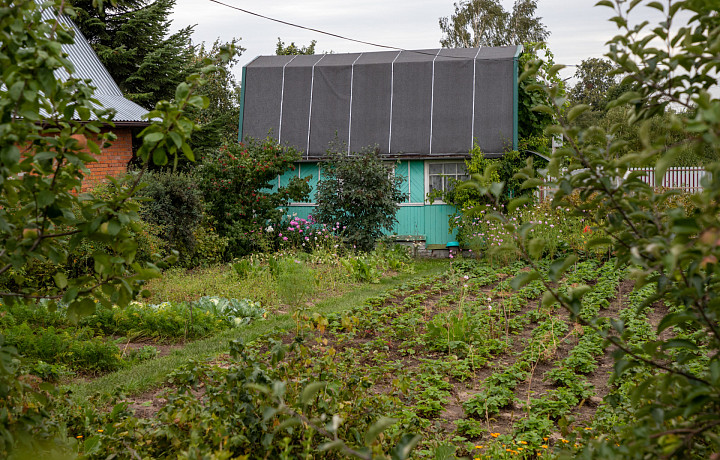 Дачникам хотят запретить бизнес в СНТ