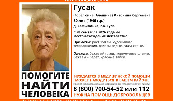 80-летняя пенсионерка пропала в тульской деревне Самылинка