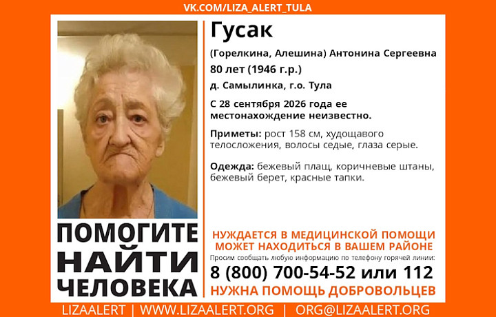 80-летняя пенсионерка пропала в тульской деревне Самылинка
