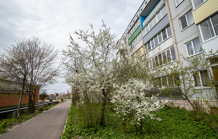 17 апреля: какой праздник сегодня, этот день в истории России и Тульской области