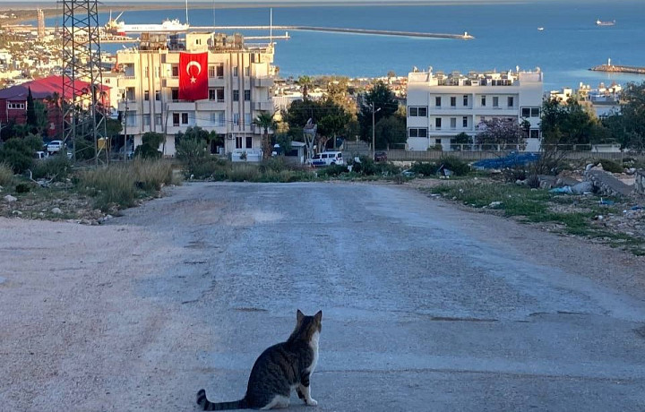 Аптеки до 18:00, а в кафе – русская кухня: тулячка рассказала, отличается ли жизнь в Турции от отдыха