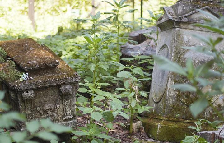 На Всехсвятском кладбище 22 апреля состоится субботник