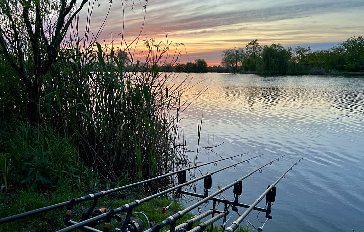 В пригородных зонах Тульской области к началу мая мобильный трафик вырос на 32,5%