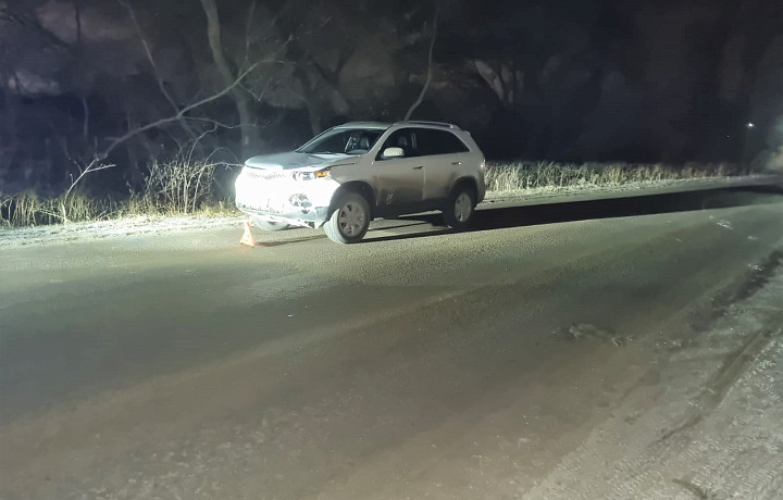 Иномарка сбила сразу двух пешеходов в Донском