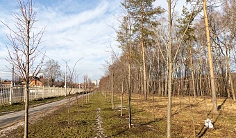 «Тульские парки» и Центральный парк стали финалистами премии «Парки России»