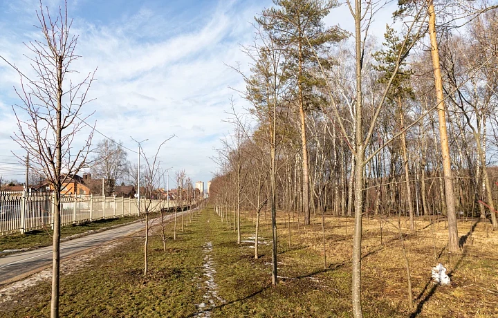 «Тульские парки» и Центральный парк стали финалистами премии «Парки России»