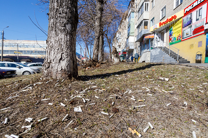 Идет – бычок валяется: фоторепортаж с улиц Тулы, от которого хочется прокашляться