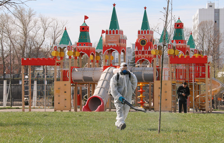 Во второй половине апреля в Туле начнется обработка территорий от клещей