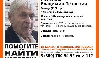 В Ясногорске ищут 94-летнего пенсионера, который ушел в лес и не вернулся