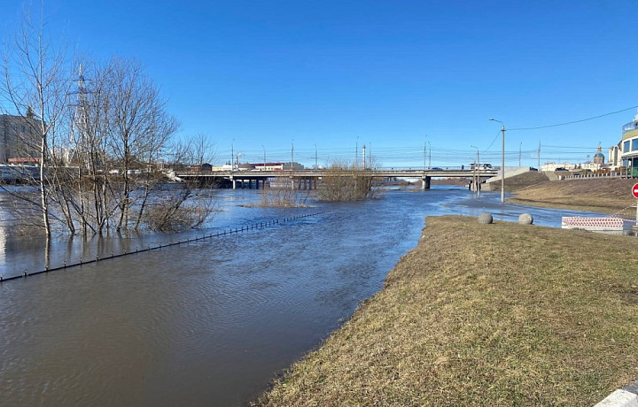 Уровень воды в реке Упа в Туле поднялся почти на пять метров