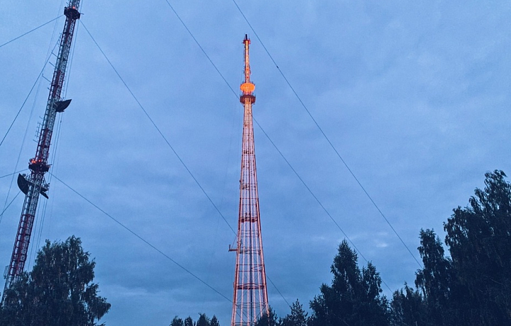 Тигровую подсветку включат на тульской телебашне 29 июля