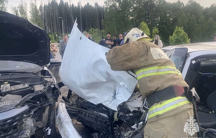 За сутки спасатели помогли ликвидировать последствия пяти ДТП в Тульской области