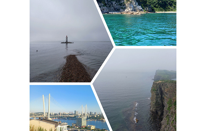 Покорили мыс Тобизина, искупались в «бирюзовой» воде и увидели морских котиков: чем туляков удивил Владивосток