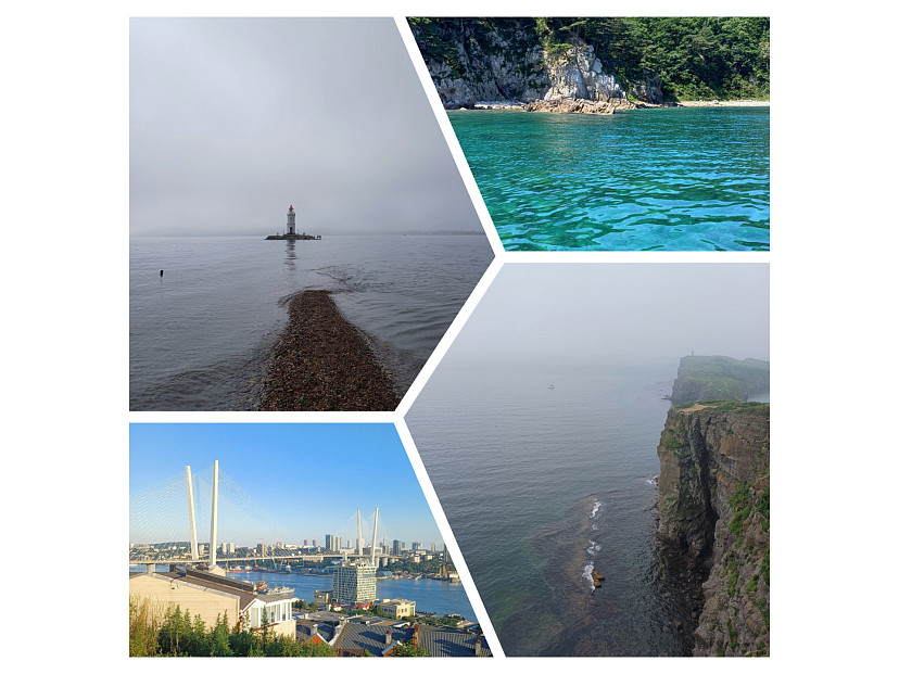 Покорили мыс Тобизина, искупались в «бирюзовой» воде и увидели морских котиков: чем туляков удивил Владивосток | ТСН24