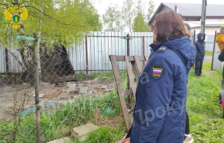 Тульская прокуратура ищет хозяина собак, жестоко обращавшегося с животными