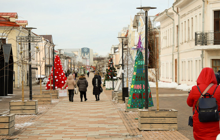 В центре Тулы появились креативные новогодние елки