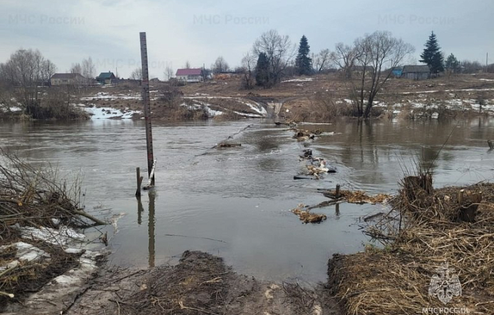 В Тульской области 29 марта затопило мост в Болотском Одоевского района