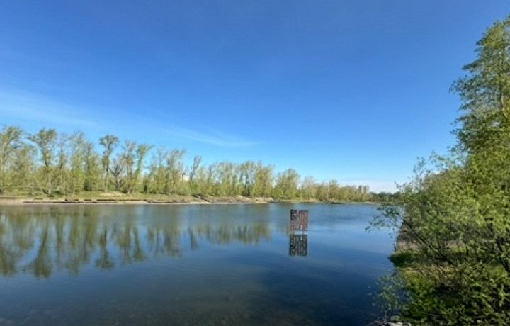 Троица 2025: главное, что надо знать о празднике, что нельзя делать на Троицу