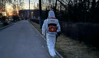 Тульские парки с 14 по 17 апреля обработают от клещей