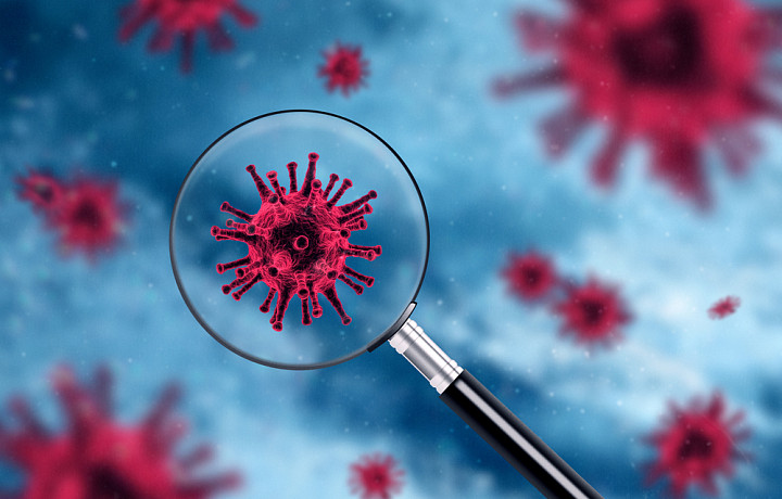 83 человека в Тульской области заболели коронавирусом за минувшие сутки