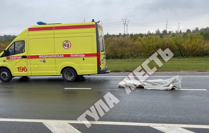 В Ленинском районе Тулы пенсионер за рулем автомобиля Niva насмерть сбил пешехода