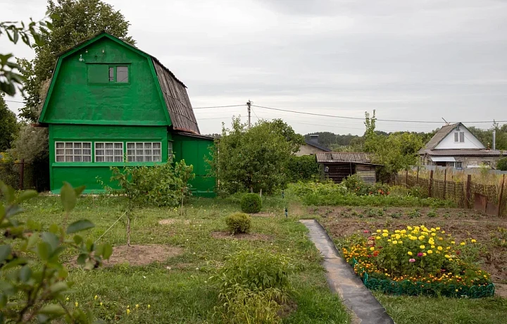 Заморозки в мае: тульский садовод рассказала, как защитить растения от климатического стресса