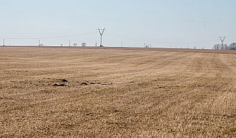 Тулякам представили рейтинг кадастровых инженеров по итогам девяти месяцев 2025 года