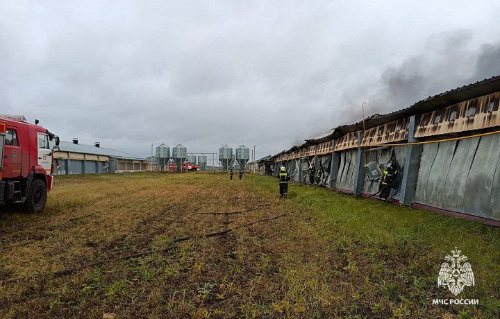 В Воловском районе произошел пожар на птицефабрике