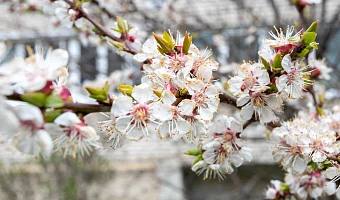 Не погода должна диктовать настроение: как смена сезонов влияет на людей и как радоваться жизни вне зависимости от картины за окном 