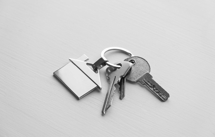 Дворцовые львы, бильярдная, а зумерам только со взрослыми: как выглядят и сколько стоят самые дорогие дома, которые сдают в аренду в Туле