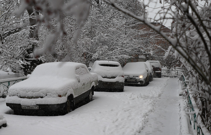 Вечно торопящимся и опаздывающим: автоэксперт Николай Киреенко рассказал, нужно ли прогревать машину в холодную погоду