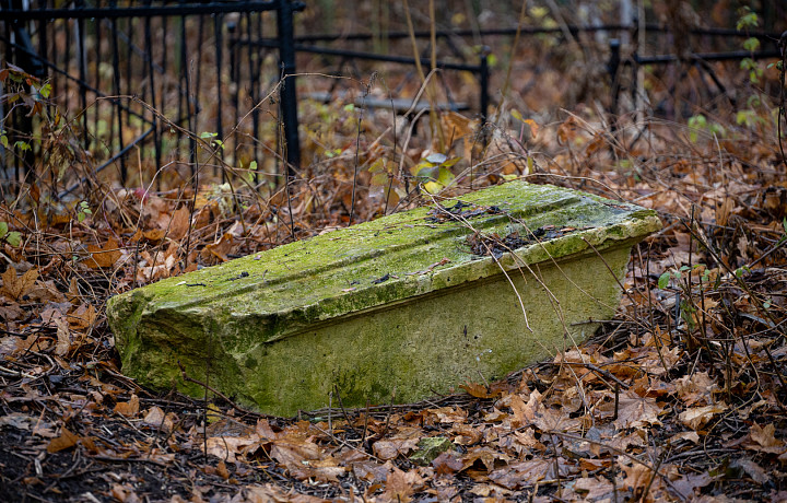 Туляков пригласили поучаствовать в субботнике на Всехсвятском кладбище