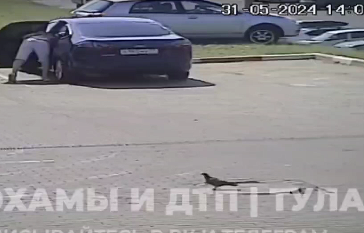 В Туле девушка, перепутавшая педали, вместо парковки слетела со склона