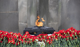 На 9 Мая мемориалы в Туле украсят живыми цветами, а тулякам подарят тюльпаны