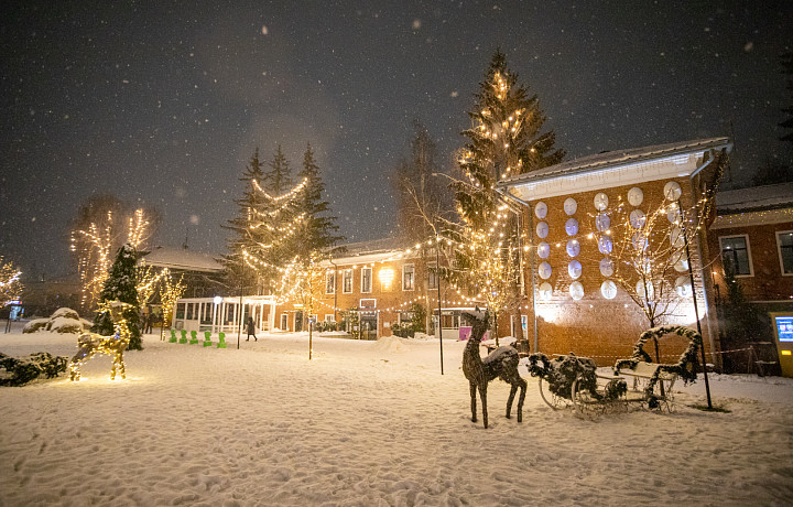 Тула вошла в топ-10 популярных направлений для зимних фотопрогулок