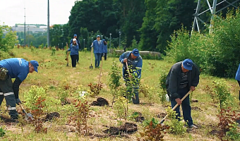 В Рогожинском парке Тулы высадили порядка 400 декоративных кустарников