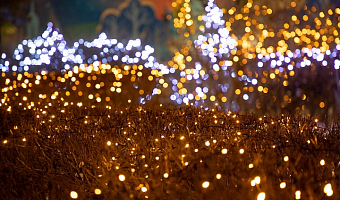 Роспотребнадзор рассказал тулякам, как выбрать елочную гирлянду