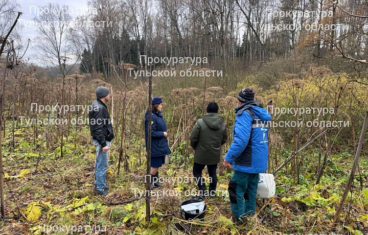Прокуратура проверяет информацию о загрязнении водоема в Заокском районе